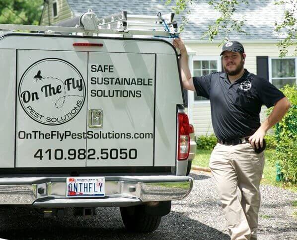 Exterminator For Pests in Towson