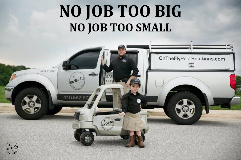 An image of a man standing in front of one of the service trucks, along with a small child standing beside one of their toy trucks. Both trucks have the On The Fly logo.