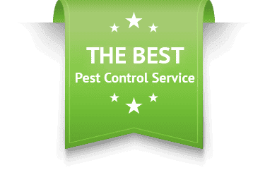 The Best Pest Control Service