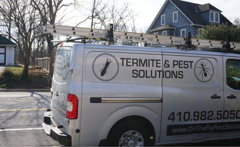 Keep Pests at Bay This Thanksgiving